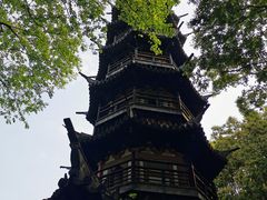 -上海佘山国家森林公园西佘山园