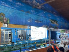 -蓝湾碧波·老字号·疍家非遗海上餐厅