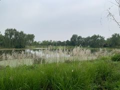 -东郊湿地公园