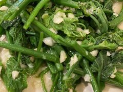 清炒豌豆尖-山茶云南菜(中关村店)