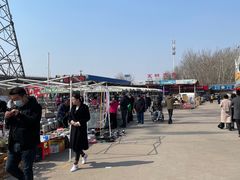 -中环花鸟鱼虫市场