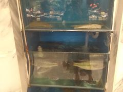 水产区-万重锦·人文川菜馆(骡马市店)