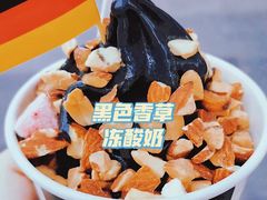 -JW德国冻酸奶Frozen Yogurt(龙湖成都滨江天街店)