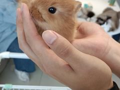 -怪兽屋·羊驼·猫咖·狗咖(俊华广场店)