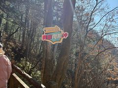 -罗田天堂寨风景区