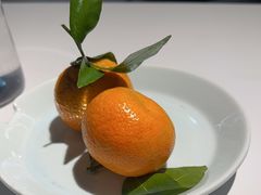 -鑫悦诚府·新鲁菜·餐厅(趵突泉店)