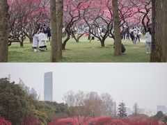 -橘子洲景区