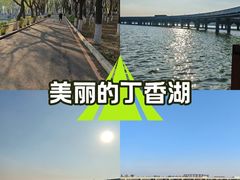 -丁香湖公园