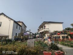-大莲湖农家乐(青西郊野公园店)
