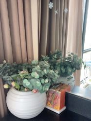 -上海玫瑰医疗美容医院