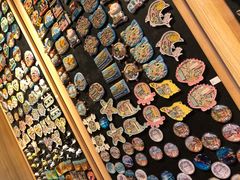 -猫咪博物馆(顶澳仔猫街店)