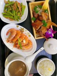 -臻康乃馨月子中心(集美店)