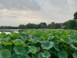 -西城区什刹海儿童乐园