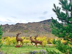 -塞罕坝国家级自然保护区