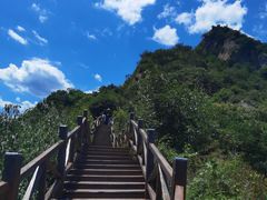 -大岭沟猕猴桃谷风景区