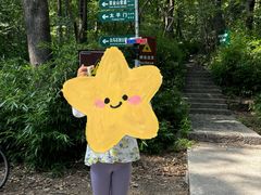 -紫金山山顶公园
