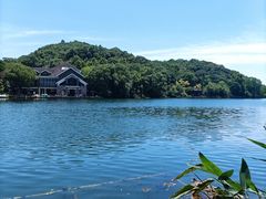 -杭州半山国家森林公园