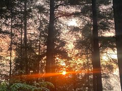 -重庆睡佛山森林公园