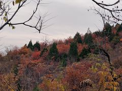 -府君山公园