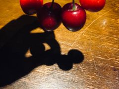 -锦尚阁烤鱼(望京新荟城店)