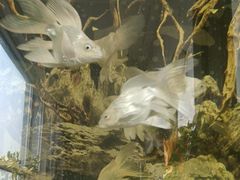 -红山会健身·普拉提(广安门店)