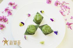 -新寰亚月子会所(金鸡湖凯宾店)
