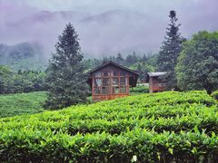 -姑婆山旅游区