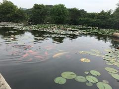 -白马涧龙池景区