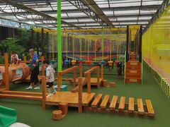 -南宫五洲植物乐园