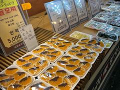 -西归浦每天偶来市场