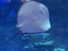 -成都浩海立方海洋公园