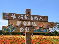 -汉长安城未央宫国家考古遗址公园