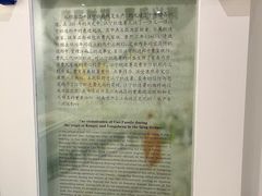 -江宁织造博物馆