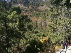 -北京上方山国家森林公园