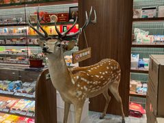 -南京同仁堂(中华路店)