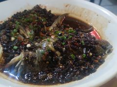 -东鸽皇(奥园·中环广场店)