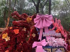-广州长隆野生动物世界