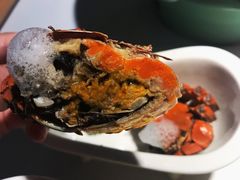 马爹利醉大闸蟹-陶苏·品味融合川菜(龙湖源著天街店)