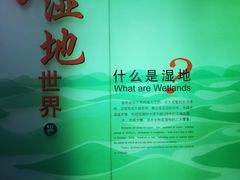 -中国湿地博物馆