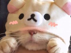 -桂桂茶(恒基名人店)