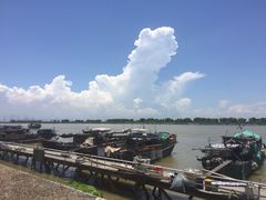 -大湾区中央湿地公园-十九涌