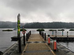 -金盆阿嬷香菇茶叶蛋(玄光店)