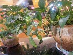 -怪噜范·老贵阳街头名小吃(鸿通城店)