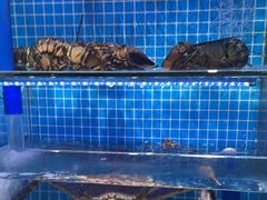 -前王院•巧克力海鲜市集餐厅(万平口店)