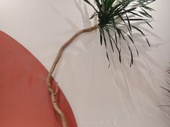 -Catch Bagel(芳草地店)