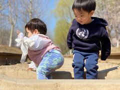 -永定河休闲森林公园