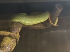-昆明动物园