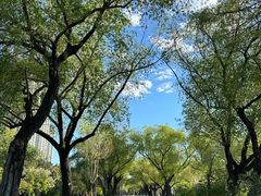 -人民防洪胜利纪念塔