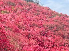 -木兰云雾山