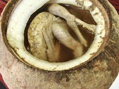 椰子炖鵪鶉-達揚原味燉品(文明路店)